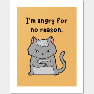 Cat (angry for no reason) Posters and Art